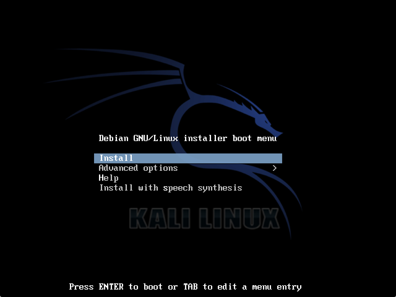 kali linux disk image